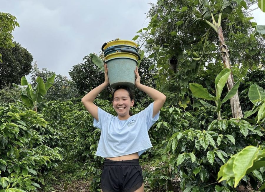 Potomac students collectively fertilized hundreds of coffee plants in a few hours while doing work led by Green Communities, an organization that aims to “bring sustainable development to the Los Santos region by converting conventional coffee farms into organic ecological coffee farms.” 
Pictured: Clara Xiao ‘24